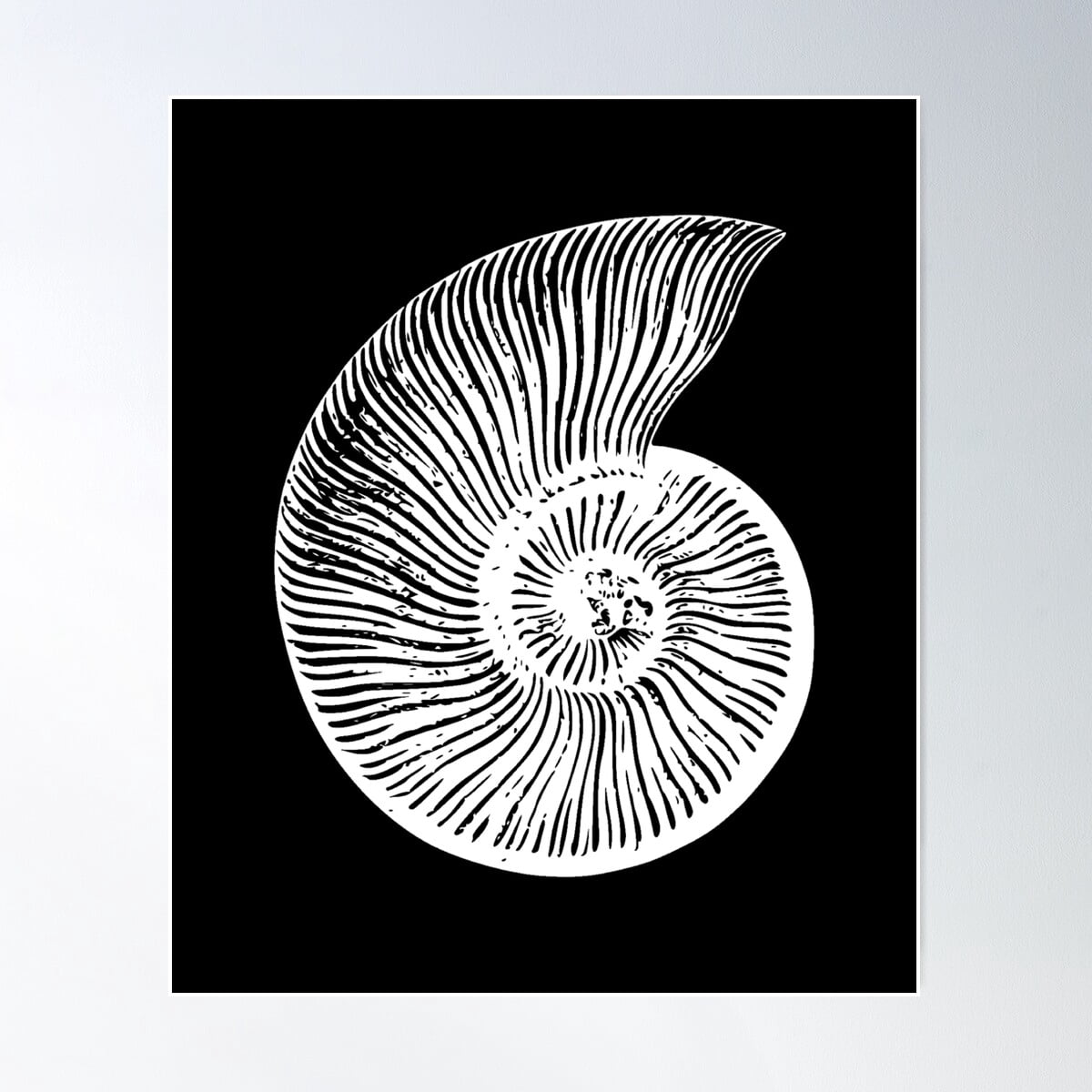 The Natural World: The Story Of The Kremmling Ammonite Site And A Painting By Wa