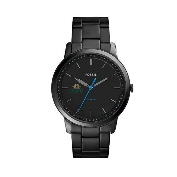 Fossil Black Point Loma Sea Lions The Minimalist Slim Stainless Steel Watch