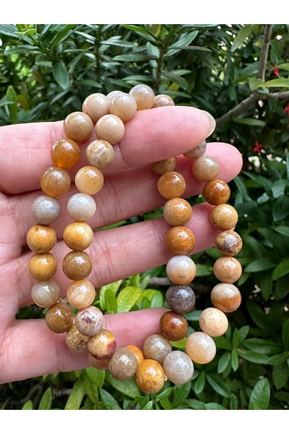 Fossil Coral Crystal Bead Bracelet 8mm, Wholesale Genuine Fossil Coral Stretch Gemstone Bracelet, Gift for Men & Women (1)