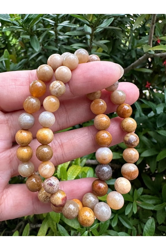 Fossil Coral Crystal Bead Bracelet 8mm, Wholesale Genuine Fossil Coral Stretch Gemstone Bracelet, Gift for Men & Women (2)