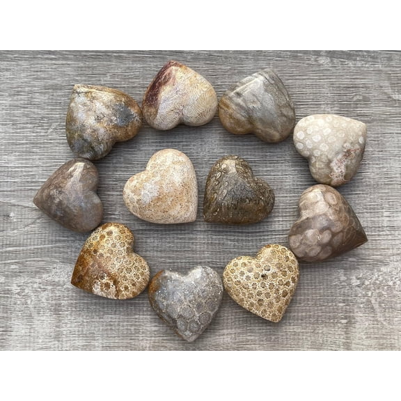Fossil Coral Gemstone Hearts, Polished Fossil Coral Puffy Hearts, Fossil Coral Palm Stone, Fossil Coral Heart (1 Heart)