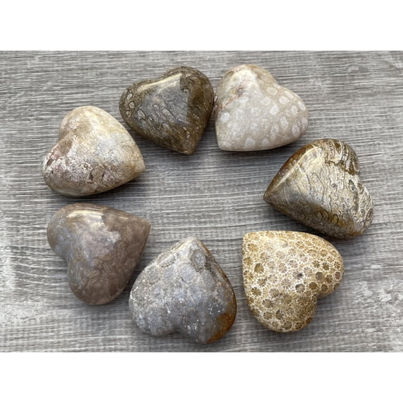 Fossil Coral Gemstone Hearts, Polished Fossil Coral Puffy Hearts, Fossil Coral Palm Stone, Fossil Coral Heart (5 Hearts)