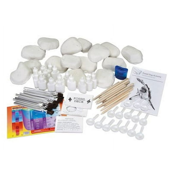 Fossil Dig Classroom Project for the Paleontology Enthusiast.