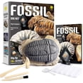 thumbnail image 1 of Piano Potato Fossil Dig Kit for Kids,12 Real Fossils (Shark Teeth,Ammonites,Trilobite),Paleontologist Kit with Excavation Tools & Display Stand,STEM Educational Archaeology Toy for Boys & Girls, 1 of 8