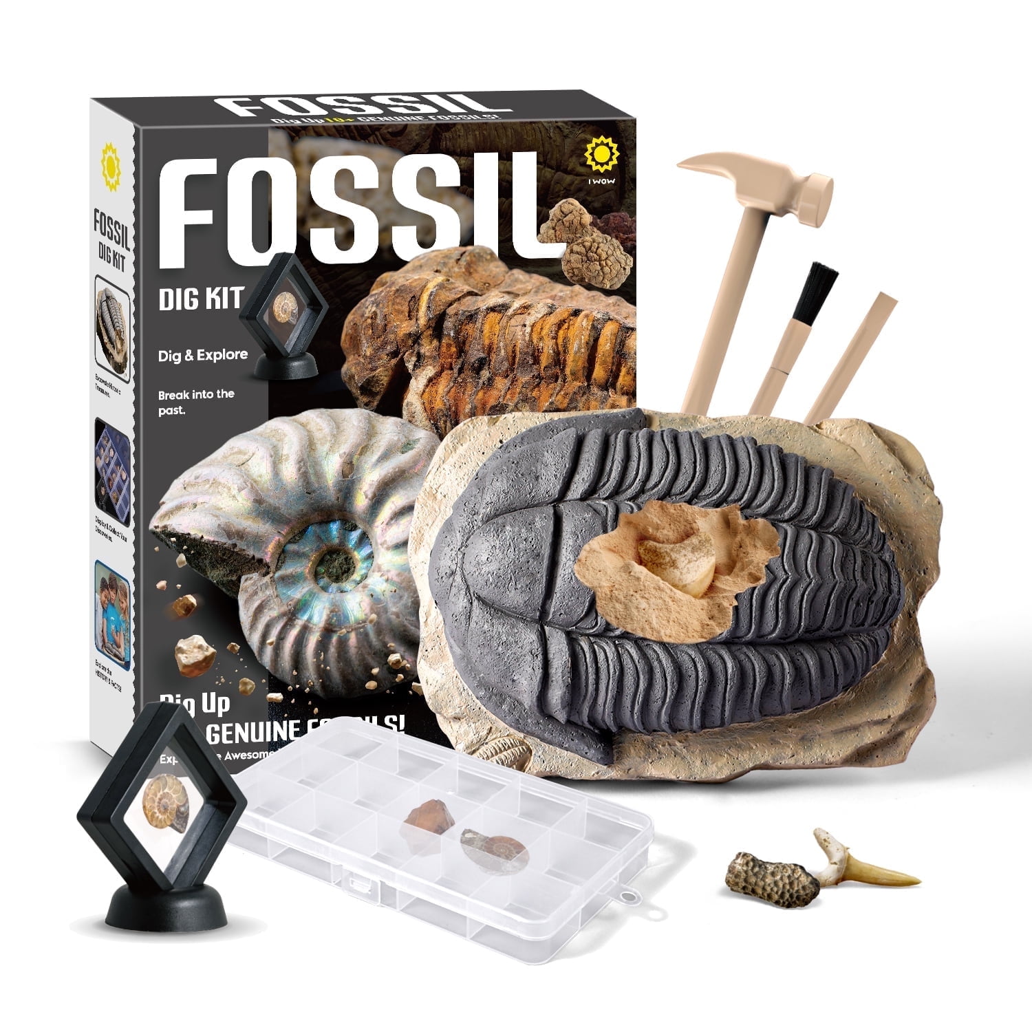 Piano Potato Mega Fossil Dig Kit, 12 Real Fossils (Sharks, Ammonites, Trilobite), Paleontologist Toys, STEM Science Educational Kit Gift for Kids 6-12 Boys And Girls