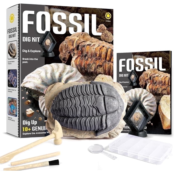 Piano Potato Fossil Dig Kit for Kids | 12 Genuine Fossils Science Set with Trilobite Dig Block, Display Showcase & Storage Box | STEM Paleontology Educational Toy Gift for Boys & Girls Ages 6-12