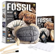 Piano Potato Fossil Dig Kit for Kids | 12 Genuine Fossils Science Set with Trilobite Dig Block, Display Showcase & Storage Box | STEM Paleontology Educational Toy Gift for Boys & Girls Ages 6-12