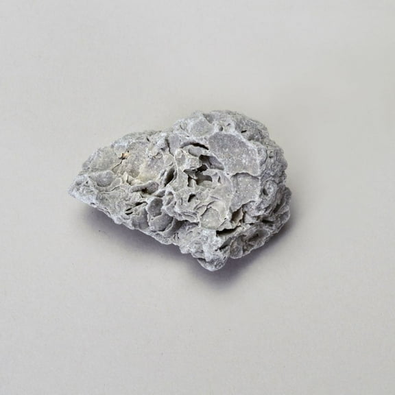 Fossil Limestone (Pack/10)