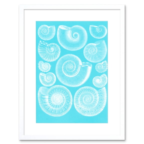 Fossil Sea Ammonites Blue Art Print Framed Poster Wall Decor 9x7 inch