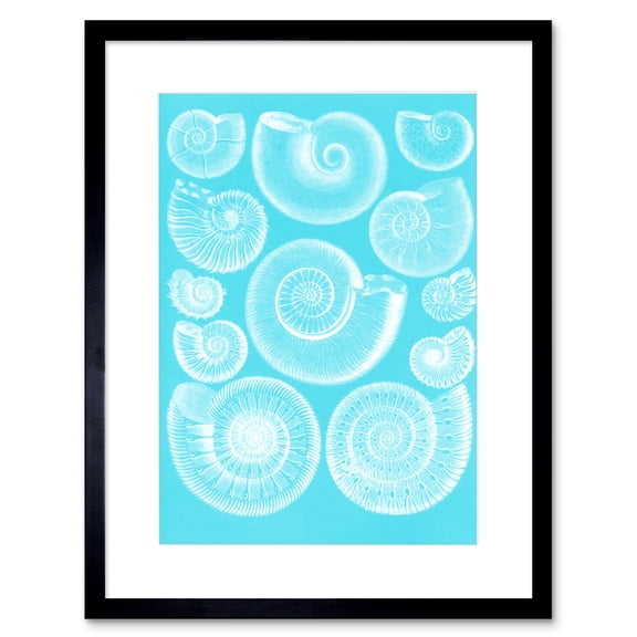 Fossil Sea Ammonites Blue Art Print Framed Poster Wall Decor 9x7 inch