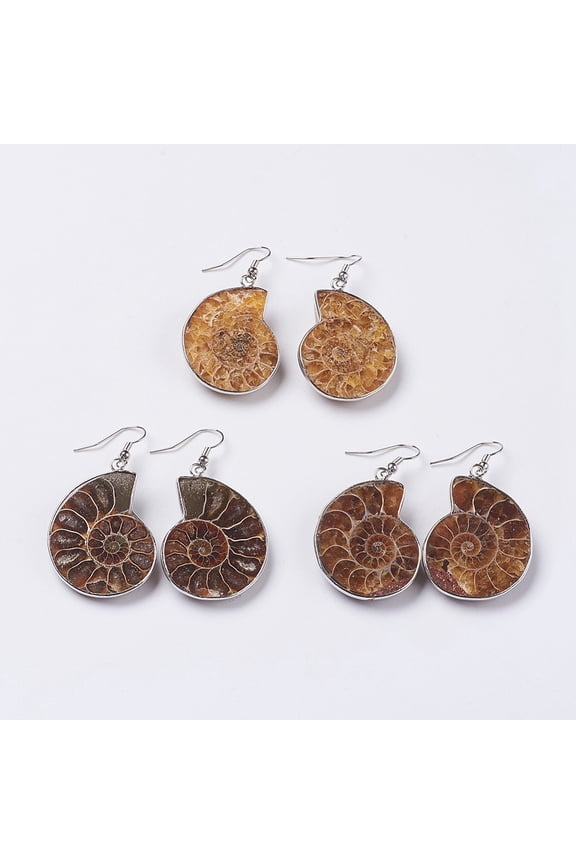 Fossil Spiral Dangle Earrings with Brass Findings Shell Platinum Mixed Color 33~53x18~28x6~10mm Pin: 0.6mm