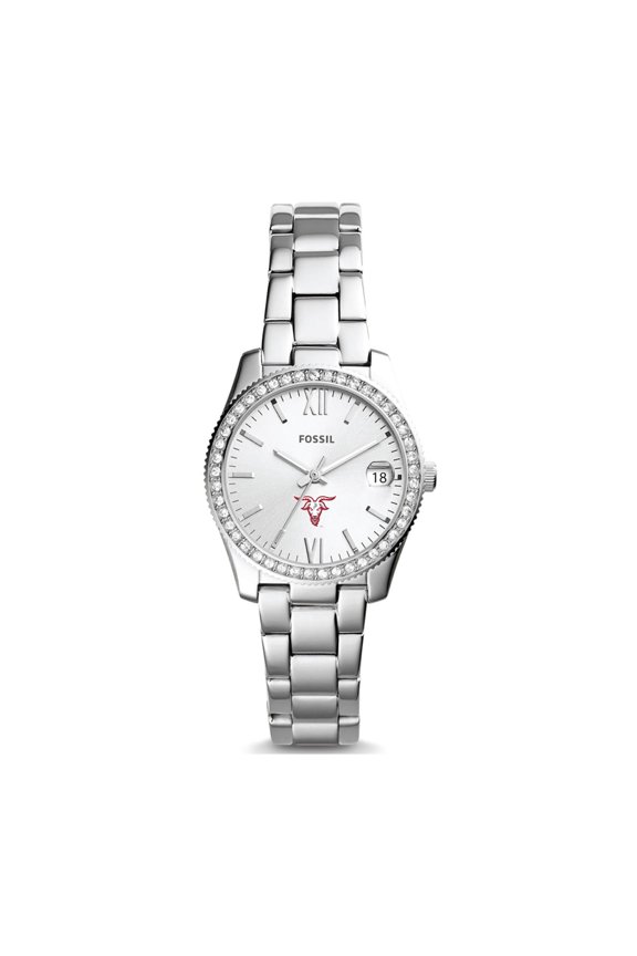 Worcester Polytechnic Institute Engineers Scarlette Mini Three-Hand Date Watch