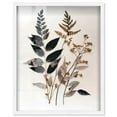 thumbnail image 1 of Fossilized Flora II Shadowbox Print Farmhouse Art by Art Remedy, White Frame, 20 x 24, 1 of 6