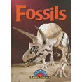 thumbnail image 1 of Pre-Owned Fossils 9781605969732, 1 of 1