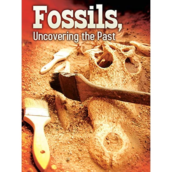 Pre-Owned Fossils: Uncovering the Past (Paperback) 1617419842 9781617419843