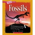 thumbnail image 1 of Pre-Owned Fossils (a True Book: Earth Science) (Paperback) 0531262502 9780531262504, 1 of 1
