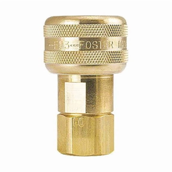 Foster Automatic Socket Coupling, 1/4 in x 1/4 in FPT,Brass, 3 Series FM3003