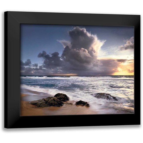Foster, Christopher 14x12 Black Modern Framed Museum Art Print Titled - Forces of Nature