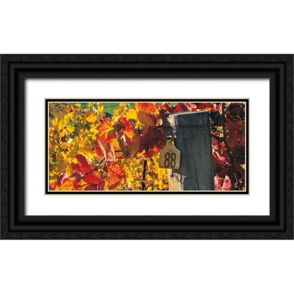 Foster, Christopher 18x10 Black Ornate Wood Framed with Double Matting Museum Art Print Titled - Row 88