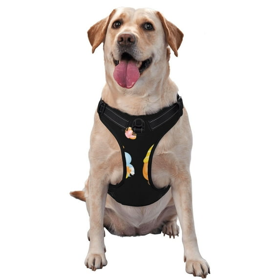 Fotbe Bee Happy Sunflower Gnomes Pattern Dog Harness, No-Pull Pet Harness with 2 Leash Clips, Adjustable Soft Padded Dog Vest with Easy Control Handle for Large Dogs-X-Large