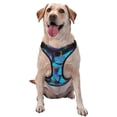 thumbnail image 1 of Fotbe Blue Butterflies Pattern Dog Harness, No-Pull Pet Harness with 2 Leash Clips, Adjustable Soft Padded Dog Vest with Easy Control Handle for Large Dogs-Large, 1 of 6