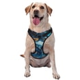 thumbnail image 1 of Fotbe Blue Iceberg Leaf Wolf Pattern Dog Harness, No-Pull Pet Harness with 2 Leash Clips, Adjustable Soft Padded Dog Vest with Easy Control Handle for Large Dogs-X-Large, 1 of 6