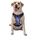 thumbnail image 1 of Fotbe Book Glowing Mushrooms Pattern Dog Harness, No-Pull Pet Harness with 2 Leash Clips, Adjustable Soft Padded Dog Vest with Easy Control Handle for Large Dogs-Large, 1 of 6
