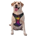 thumbnail image 1 of Fotbe Bright Universe Pattern Dog Harness, No-Pull Pet Harness with 2 Leash Clips, Adjustable Soft Padded Dog Vest with Easy Control Handle for Large Dogs-Large, 1 of 6