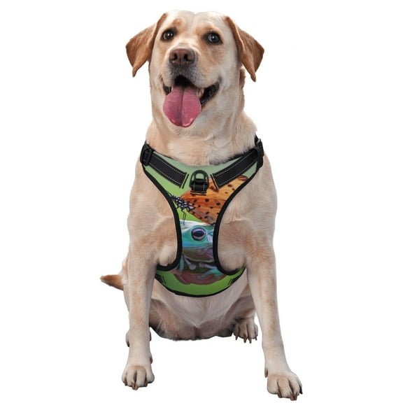 Fotbe Butterfly Landing On Head Dumpy Frog Pattern Dog Harness, No-Pull Pet Harness with 2 Leash Clips, Adjustable Soft Padded Dog Vest with Easy Control Handle for Large Dogs-Large