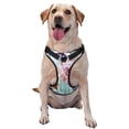 thumbnail image 1 of Fotbe Cactus Pattern Dog Harness, No-Pull Pet Harness with 2 Leash Clips, Adjustable Soft Padded Dog Vest with Easy Control Handle for Large Dogs-Small, 1 of 6