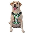 thumbnail image 1 of Fotbe Cactus Plants Pattern Dog Harness, No-Pull Pet Harness with 2 Leash Clips, Adjustable Soft Padded Dog Vest with Easy Control Handle for Large Dogs-Medium, 1 of 6