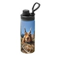 thumbnail image 1 of Fotbe Close-Up Curious Squirrel Pattern 18 Oz Sports Insulated Kettle Vacuum Cup Stainless Steel Travel Mug Cup Thermal Flask,Insulated Kettle for Cycling Gym Basketball Outdoor, 1 of 7
