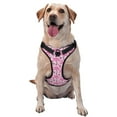 thumbnail image 1 of Fotbe Cool Flamingos Pattern Dog Harness, No-Pull Pet Harness with 2 Leash Clips, Adjustable Soft Padded Dog Vest with Easy Control Handle for Large Dogs-Large, 1 of 6