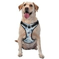 thumbnail image 1 of Fotbe Cute Chameleons On Blue Pattern Dog Harness, No-Pull Pet Harness with 2 Leash Clips, Adjustable Soft Padded Dog Vest with Easy Control Handle for Large Dogs-Medium, 1 of 6