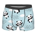 thumbnail image 1 of Fotbe Cute Panda Bear Men’s Total Support Pouch Boxer Briefs, X-Temp Cooling, Moisture-Wicking Underwear, Regular, Long-leg and Trunk-Small, 1 of 9