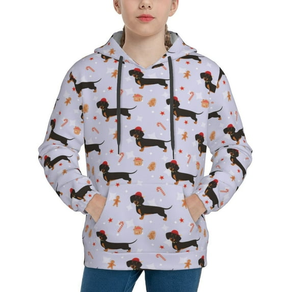 Fotbe Dachshund Dog Pattern Youth Pullover Hooded Sweatshirt, Boys Hoodie, Kangaroo Pocket Hoodie for Kids Girls -X-Large