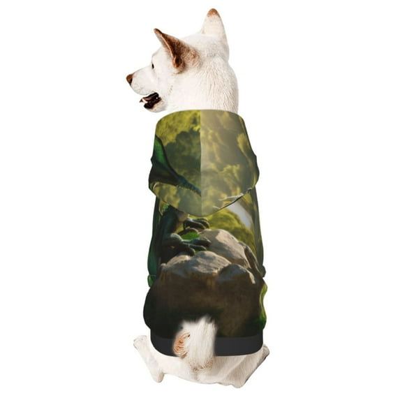 Fotbe Deep Forest Stone Green Dragon Print Small Dog Sweater Hoodies Pet Grey Hooded Soft Fleece Sweatshirts with Pocket Fall Winter Puppy Cat Sweaters Warm Clothes-XX-Large
