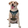 thumbnail image 1 of Fotbe Deserted Classic Car Landscape Pattern Dog Harness, No-Pull Pet Harness with 2 Leash Clips, Adjustable Soft Padded Dog Vest with Easy Control Handle for Large Dogs-Medium, 1 of 6