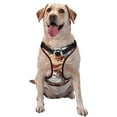 thumbnail image 1 of Fotbe Dinosaur Baking Delight Pattern Dog Harness, No-Pull Pet Harness with 2 Leash Clips, Adjustable Soft Padded Dog Vest with Easy Control Handle for Large Dogs-X-Large, 1 of 6