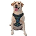 thumbnail image 1 of Fotbe Dinosaur Pattern Dog Harness, No-Pull Pet Harness with 2 Leash Clips, Adjustable Soft Padded Dog Vest with Easy Control Handle for Large Dogs-Large, 1 of 6