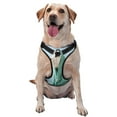 thumbnail image 1 of Fotbe Dog Wrapped in Towel Pattern Dog Harness, No-Pull Pet Harness with 2 Leash Clips, Adjustable Soft Padded Dog Vest with Easy Control Handle for Large Dogs-Small, 1 of 6