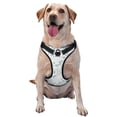 thumbnail image 1 of Fotbe Dragonfly Pattern Dog Harness, No-Pull Pet Harness with 2 Leash Clips, Adjustable Soft Padded Dog Vest with Easy Control Handle for Large Dogs-Medium, 1 of 6