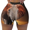 thumbnail image 1 of Fotbe Elephant Sunset in Kenya Seamless Shorts, Womens Workout Shorts High Waist Stretch Booty Short for Gym/Yoga/Running/Biking-XX-Large, 1 of 9