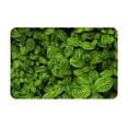 thumbnail image 1 of Fotbe Extra Durable Door Mat - Dirt Trapping Outdoor Welcome Mats - Non-Slip Outdoor Door Mats - Low Profile Front Door Mat - Indoor (16" x 24", Tiny Green Fern Leaves ), 1 of 8