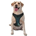 thumbnail image 1 of Fotbe Farm Dog Duck Moonlight Pattern Dog Harness, No-Pull Pet Harness with 2 Leash Clips, Adjustable Soft Padded Dog Vest with Easy Control Handle for Large Dogs-Large, 1 of 6