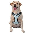 thumbnail image 1 of Fotbe Floral Daisy Pattern Dog Harness, No-Pull Pet Harness with 2 Leash Clips, Adjustable Soft Padded Dog Vest with Easy Control Handle for Large Dogs-Small, 1 of 6