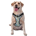 thumbnail image 1 of Fotbe Flower and Sail Boat Pattern Dog Harness, No-Pull Pet Harness with 2 Leash Clips, Adjustable Soft Padded Dog Vest with Easy Control Handle for Large Dogs-Medium, 1 of 6