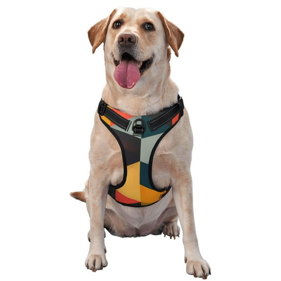 Fotbe Geometric Cube Pattern Art Pattern Dog Harness, No-Pull Pet Harness with 2 Leash Clips, Adjustable Soft Padded Dog Vest with Easy Control Handle for Large Dogs-Medium