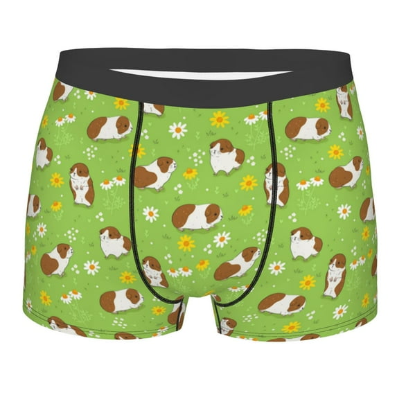 Fotbe Guinea Pigs Men’s Total Support Pouch Boxer Briefs, X-Temp Cooling, Moisture-Wicking Underwear, Regular, Long-leg and Trunk-X-Large