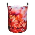 thumbnail image 1 of Fotbe Autumn Maple Leaves Laundry Basket with Handles, Waterproof Large Laundry Hamper, Wash Bag for Corner Dorm, Rolling Laundry Basket with Handles-Small, 1 of 8